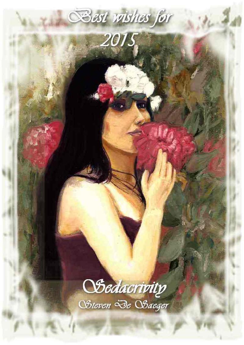 Sedacrivity - Happy New Year