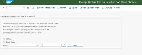 SAP Backend Launchpad Content Management